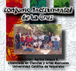 CONJUNTO INSTRUMENTAL DE LA CRUZ  2001